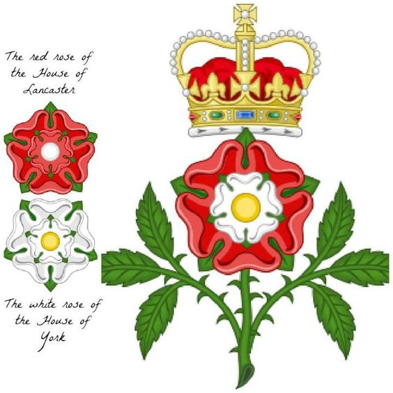 символ англии роза